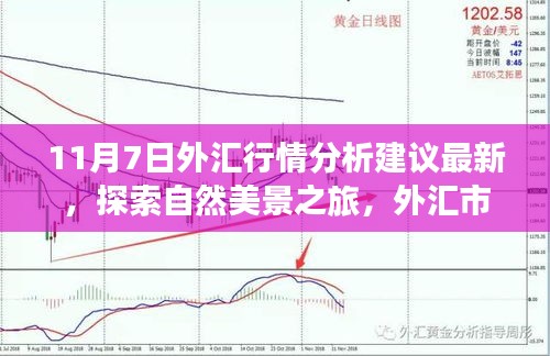 第1904页