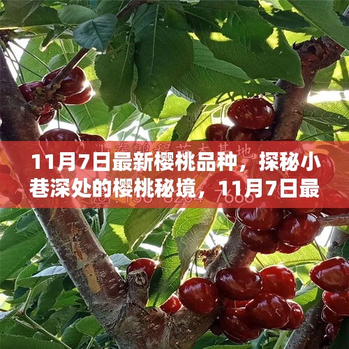 新闻中心 第317页