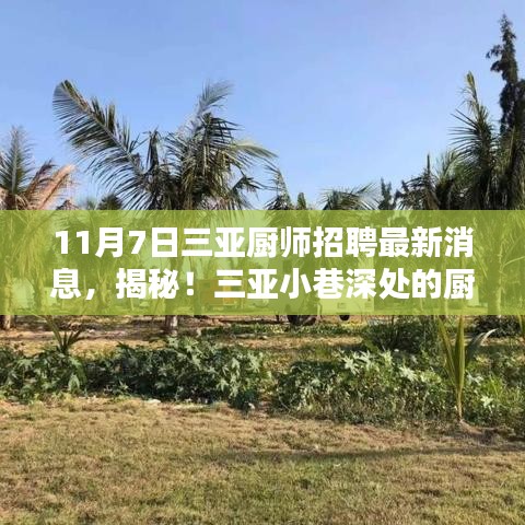 在线留言 第312页