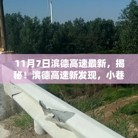 新闻中心 第313页