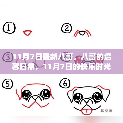 联系我们 第310页