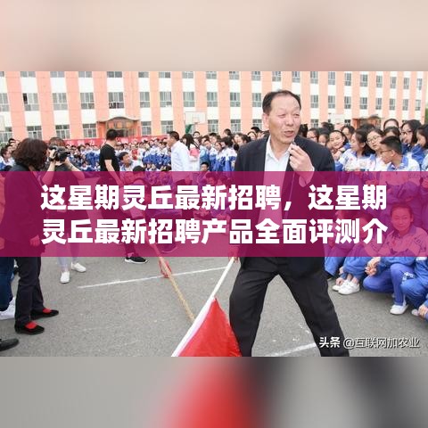 废寝忘食 第24页