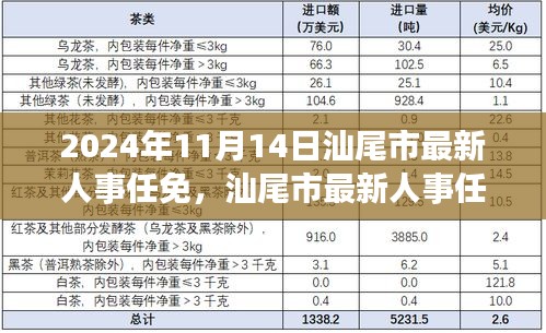 汕尾市人事任免最新动态，高效完成流程指南（附时间表和关键步骤）