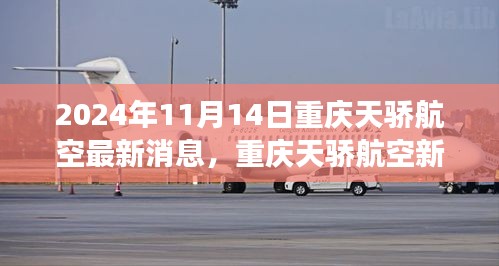 联系我们 第263页
