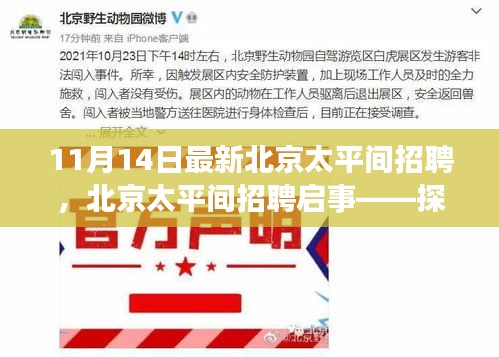 第1571页