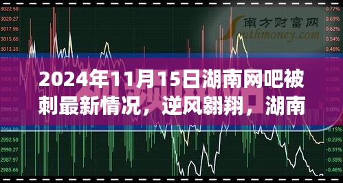 联系我们 第254页