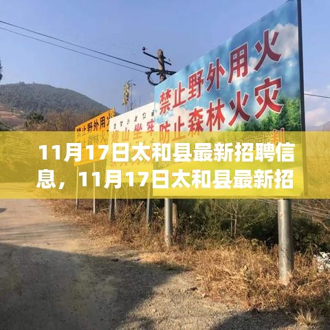 目不转睛 第18页