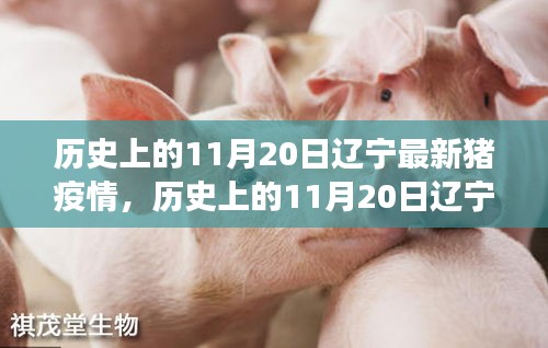 在线留言 第235页