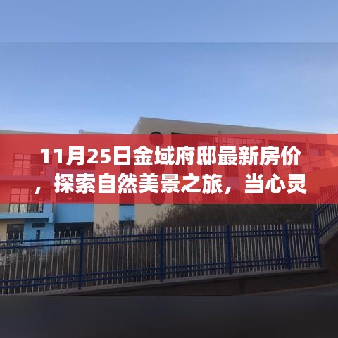 神采奕奕 第13页