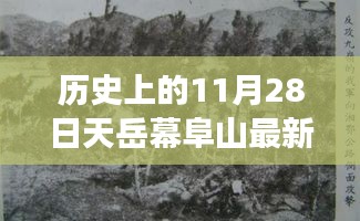 admin 第11页