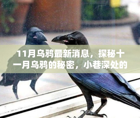 第1333页