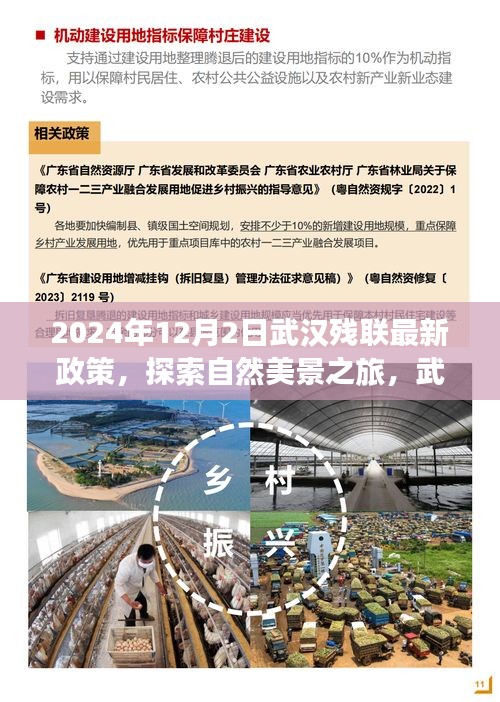 第1257页
