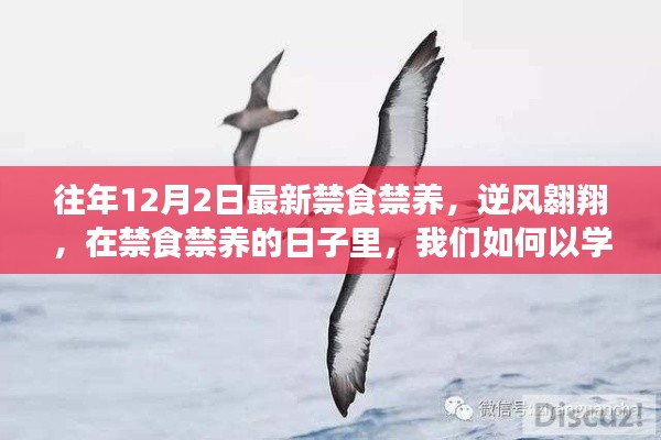 admin 第7页