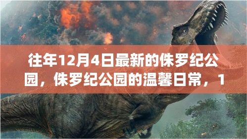 第1204页