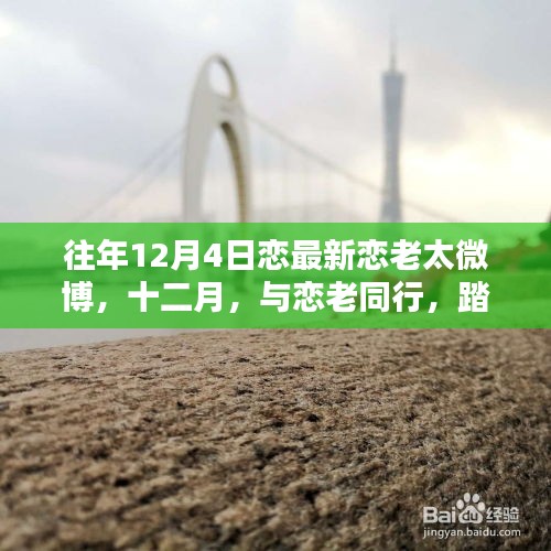 第1176页