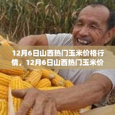 在线留言 第176页