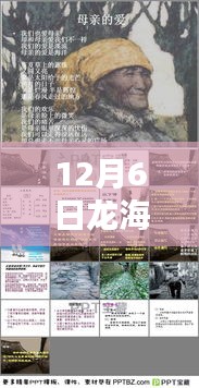 第1137页
