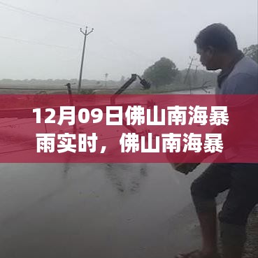 比翼鸟 第2页