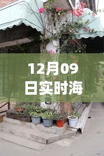 飞潜动植 第3页
