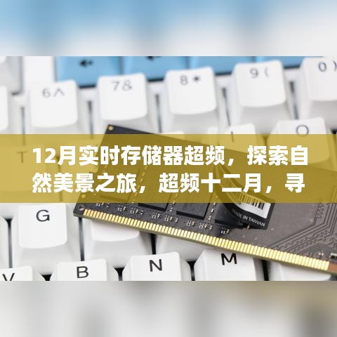 物稀为贵 第2页