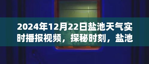 将错就错 第3页