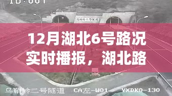 鸟啼花怨 第2页