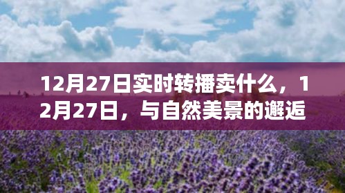 雅人深致 第2页
