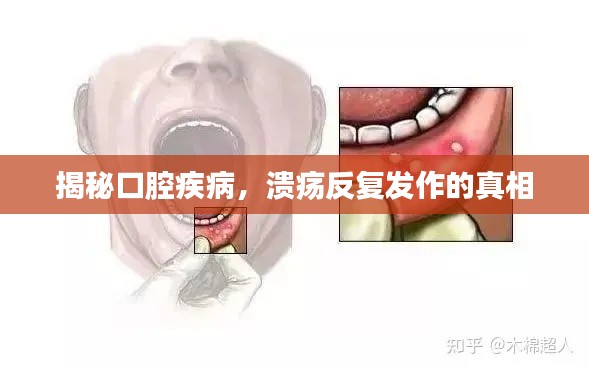 鸟语蝉鸣 第2页