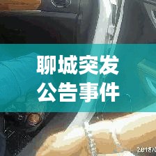 张惶失措 第2页