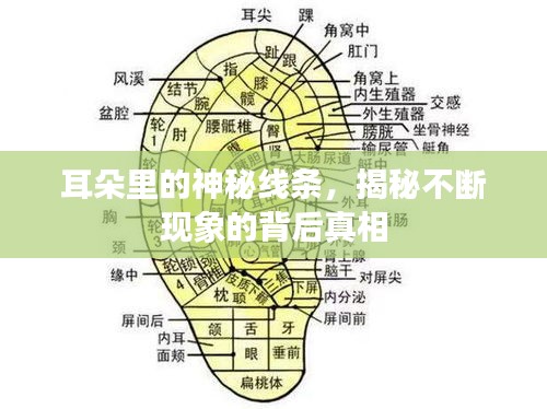 耳朵里的神秘线条，揭秘不断现象的背后真相