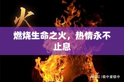 贵出贱收 第2页
