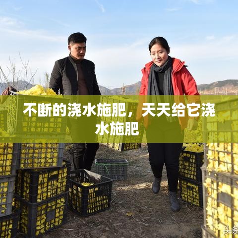 不耻下问 第2页