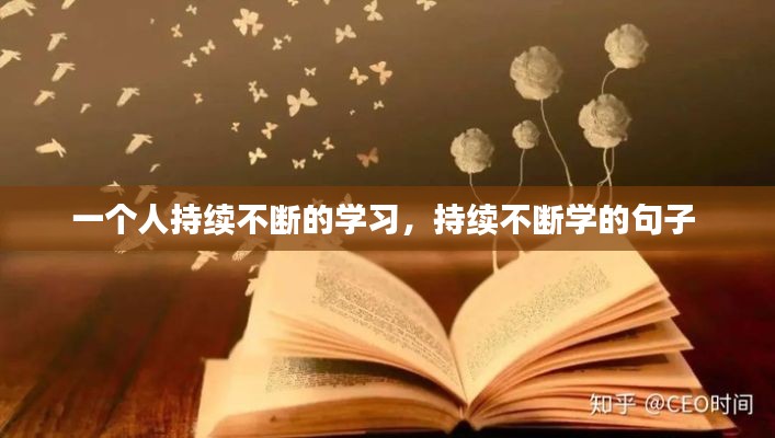 毛手毛脚 第2页