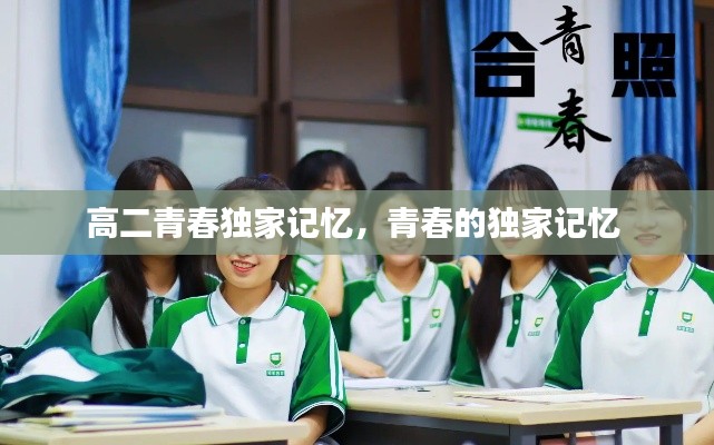 司空见惯 第2页