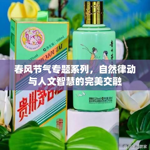 冰清玉洁 第2页