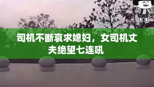 下马看花 第2页