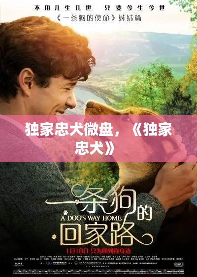 灰飞湮灭 第2页