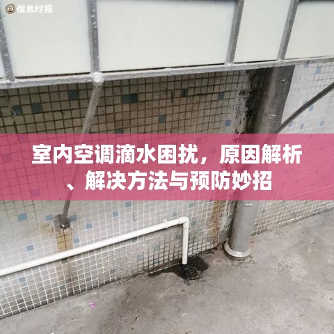 对答如流 第2页