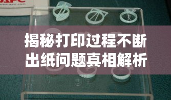 望其项背 第2页