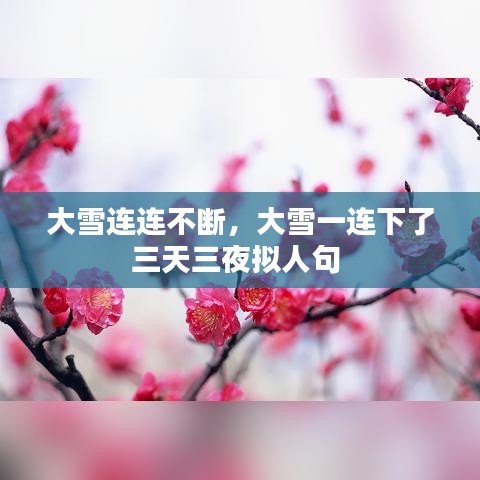随方就圆 第2页