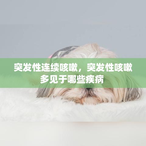 联系我们 第96页