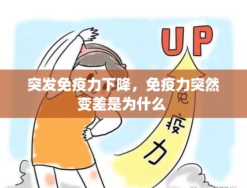 龙飞凤舞 第2页