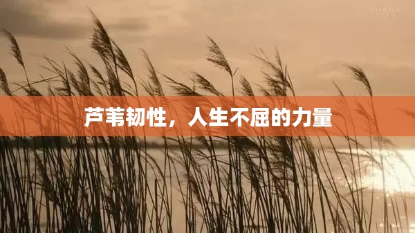精雕细刻 第2页