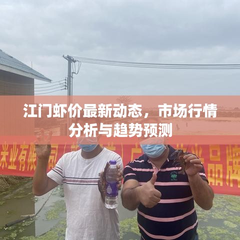 江门虾价最新动态，市场行情分析与趋势预测
