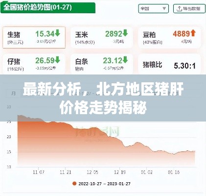 不知就里 第2页