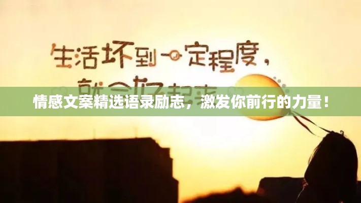 关于我们 第96页