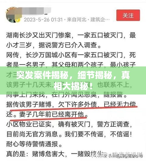 达官贵人 第2页