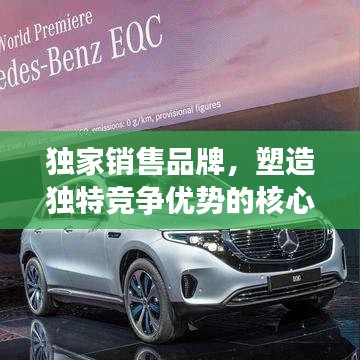 正声雅音 第2页