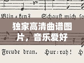 关于我们 第20页