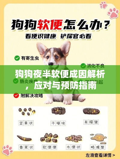 联系我们 第14页